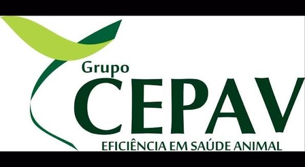 Grupo Cepav